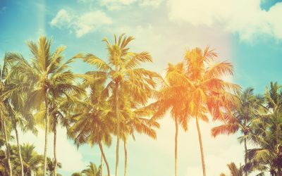 Je collega’s op vakantie? Dan is dit blog voor jou!